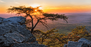 best things to do in alabama