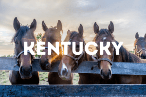 best places to stay in kentucky