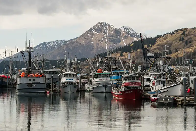 things to do in Kodiak Alaska